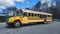 2009 BLUE BIRD SCHOOL BUS Base
