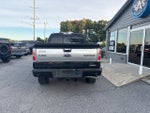 2013 Ford F-150 Platinum Pickup 4D 5 1/2 ft