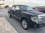 2013 Ford F-150 Platinum Pickup 4D 5 1/2 ft